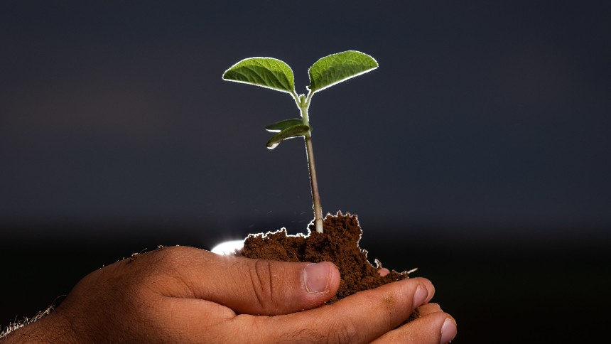 “Agro sustentável” pode trazer R$ 94,8 bi ao PIB brasileiro até o final da década, estima FGV