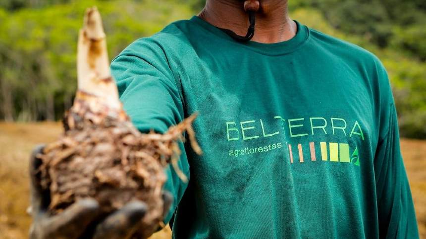 Belterra consegue R$ 100 milhões com BNDES para financiar agroflorestas na Amazônia