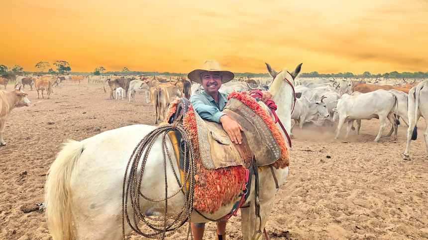 Da pecuária raiz pantaneira ao mundo, Bio Carnes aposta no crescimento "orgânico"