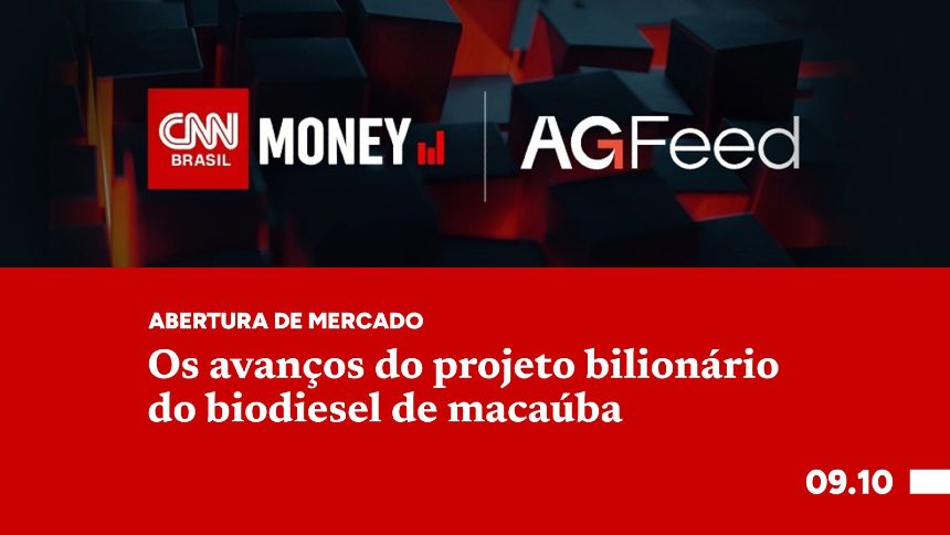 Os avanços do projeto bilionário do biodiesel de macaúba