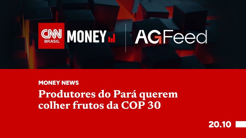 Produtores do Pará querem colher frutos da COP 30