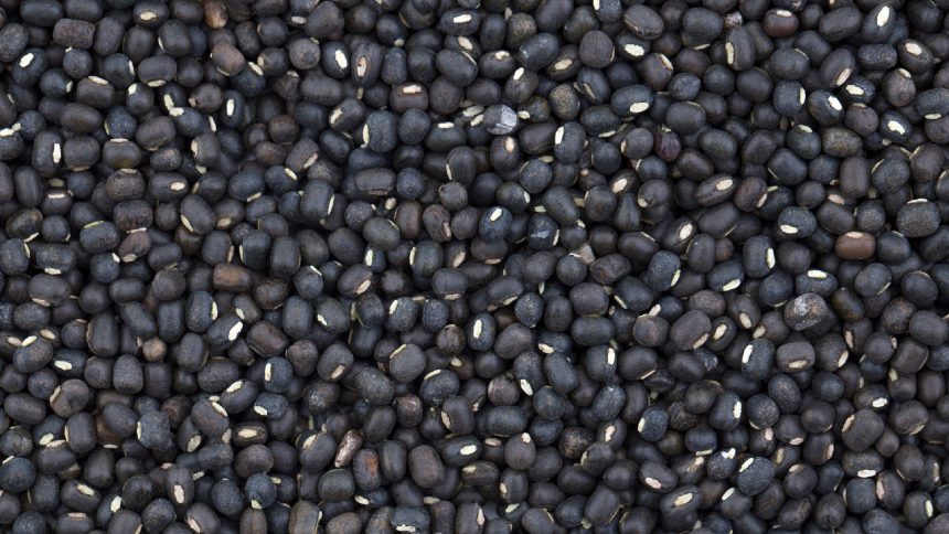 Com ajuda da Índia, Brasil bate novo recorde na exportação de feijão