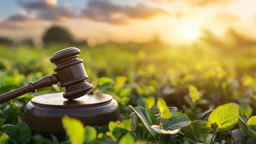 ARTIGO – Lei Geral do Licenciamento Ambiental traz mais incertezas e agrava situação no Brasil