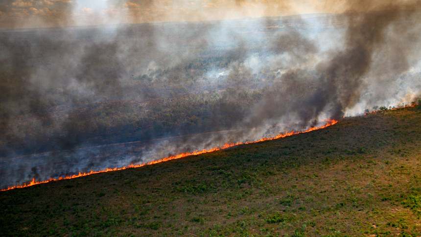 Mais internet no campo para maior preservação ambiental: a pauta da ConectarAgro na COP 30