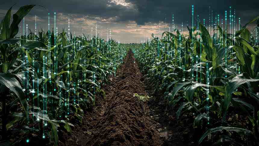 Dados, a terceira safra do agro brasileiro