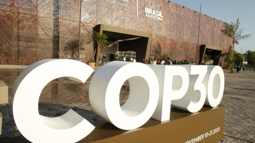 ARTIGO - COP30: a pecuária brasileira como solução para os desafios climáticos