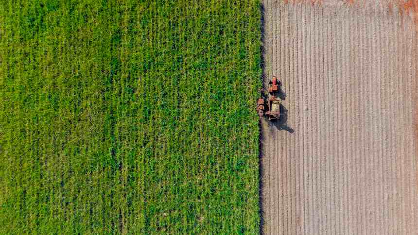 Cliente conversa menos com o vizinho, aumenta market share e garante lucro recorde para CTC