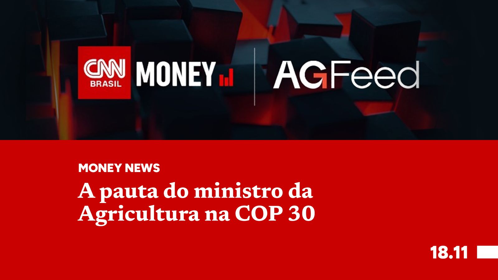 A pauta do ministro da Agricultura na COP 30