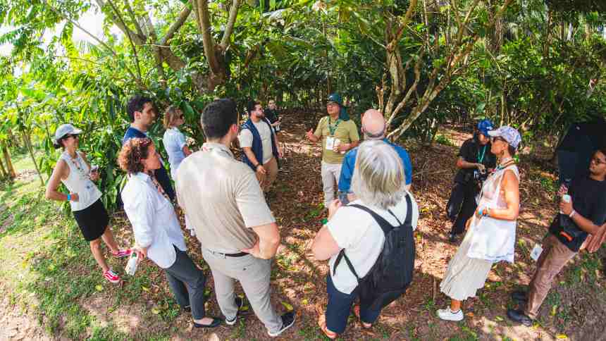 ARTIGO - Decisões de qual sorte teremos na COP 30?