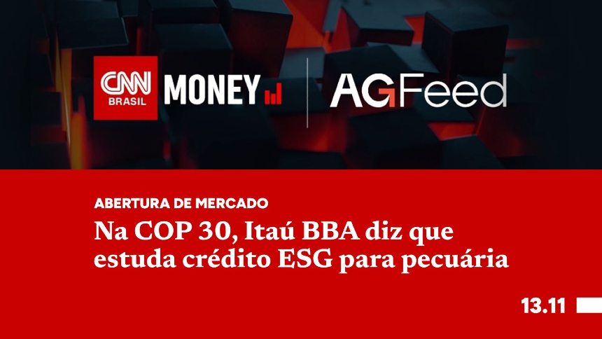 Na COP 30, Itaú BBA diz que estuda crédito ESG para pecuária
