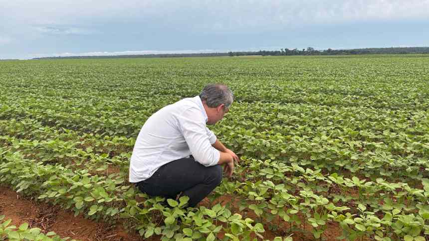 No “Nortão do MT”, o clima até ajuda, mas custos pesam e margem aperta na safra 2025/2026