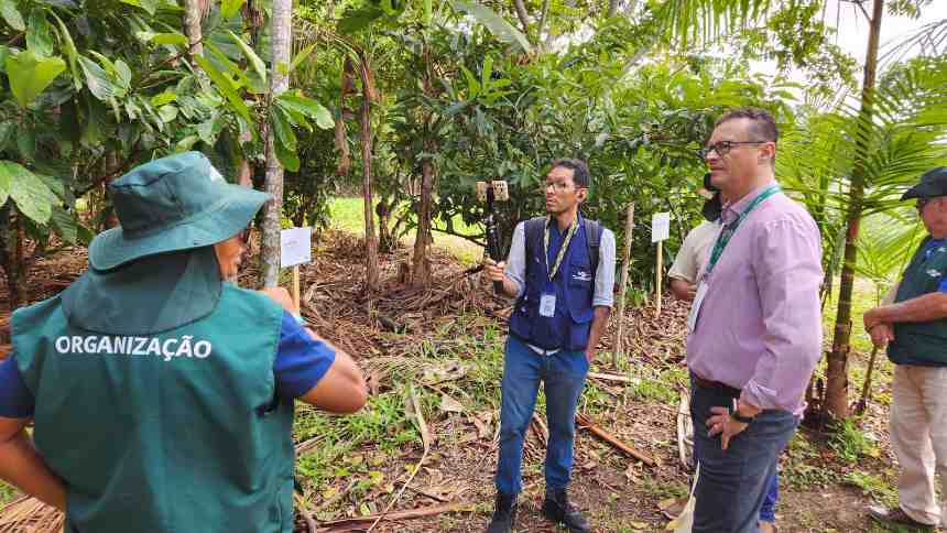 Syngenta reforça discurso de que sustentabilidade faz parte dos negócios no agro – na teoria e na prática