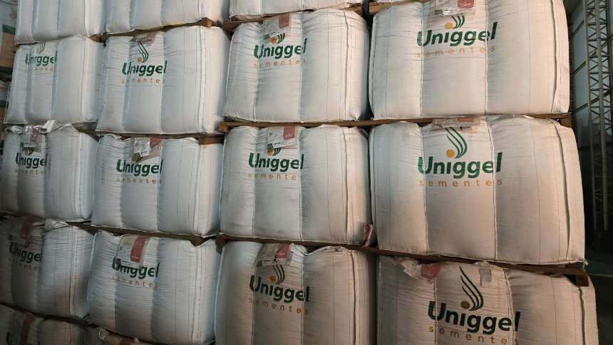 Corteva investe na multiplicação (sem milagres) para ampliar negócio de sementes