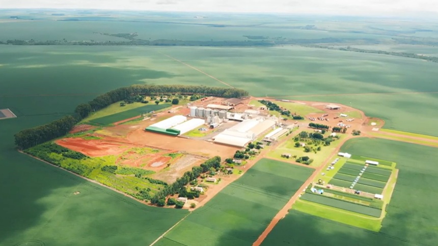 Sementes São Francisco, do Patria, compra sementeira de Minas Gerais