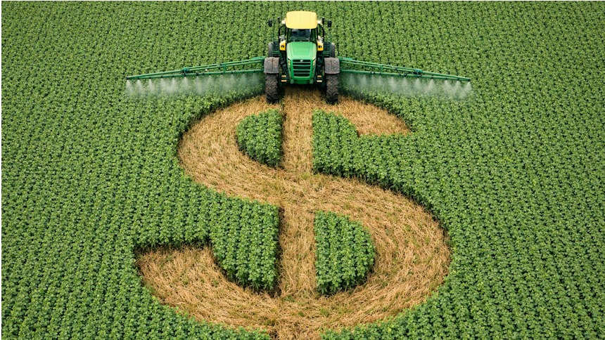 Após cortes e dificuldades, seguro rural pode ter "dias melhores" em 2026