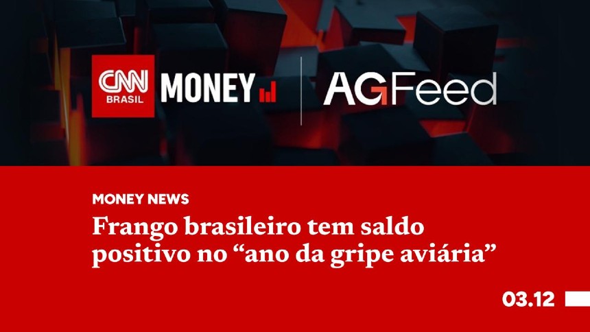 Frango brasileiro tem saldo positivo no "ano da gripe aviária"