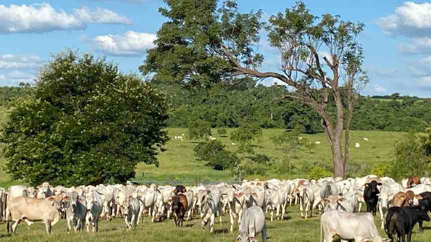 Entre conquistas e desafios, a esperança do produtor em 2026