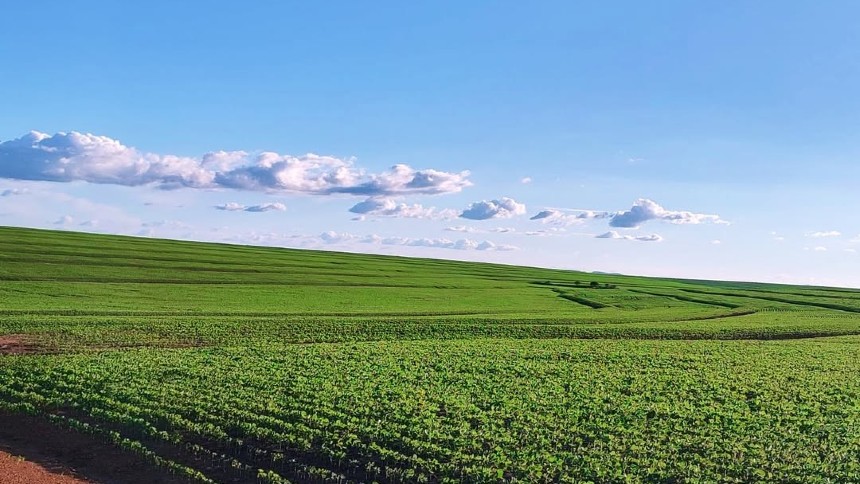 A rota alternativa da GCB para ajudar produtores a driblar bancos e atingir R$ 500 milhões em CRAs