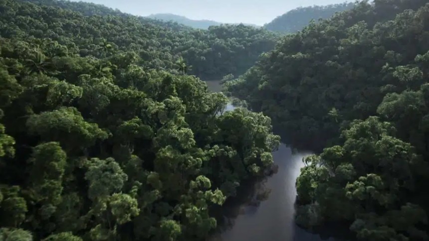 ARTIGO - O fundo de florestas tropicais e seus desafios