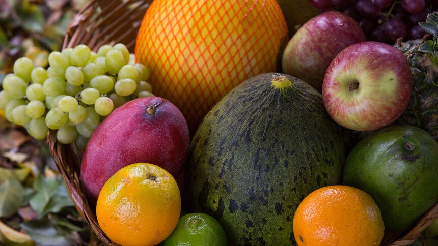 Exportação de frutas bate recorde mesmo com tarifaço em 2025, com mangas na liderança