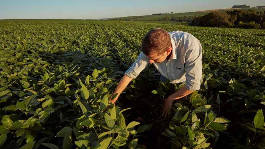 Basf compra AgBiTech e dá mais um passo na sua estratégia nos biológicos