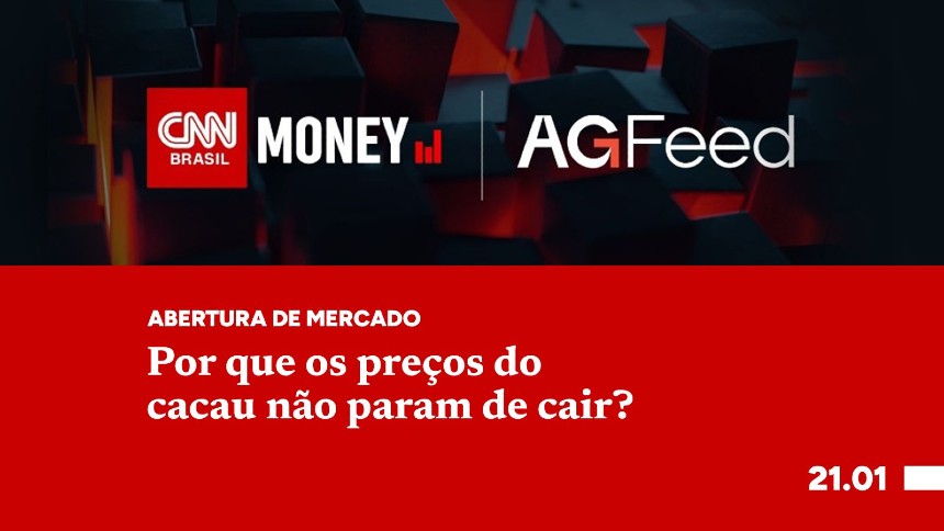 Por que os preços do cacau não param de cair?
