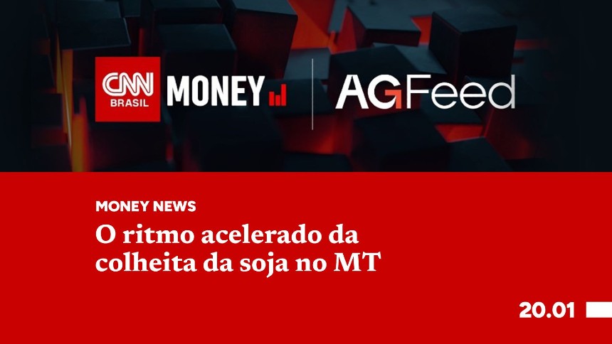 O ritmo acelerado da colheita da soja no MT