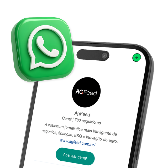 Celular com o grupo do AgFeed aberto no WhatsApp