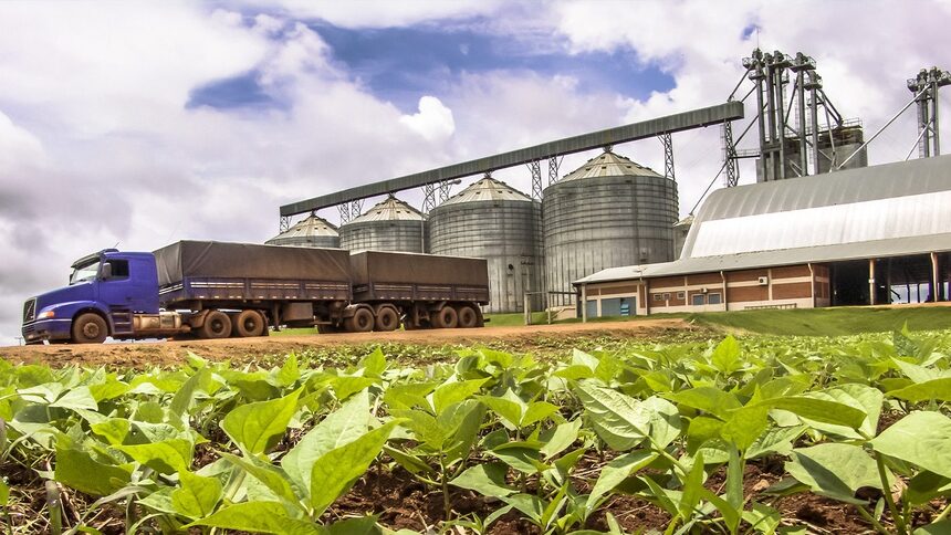 Com passivo de R$ 135 milhões, Banco do Brasil é o maior credor da Aliança Agrícola do Cerrado