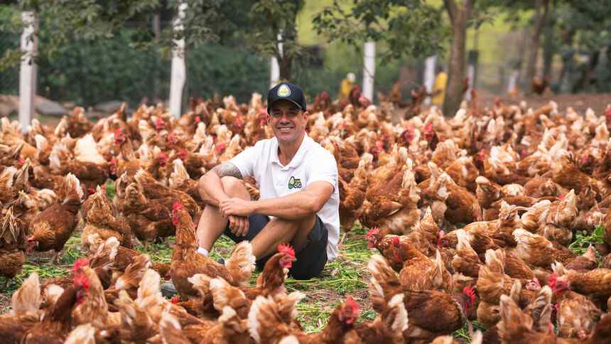 Turma do Ovo conquista chefs com assinaturas e, agora, procura capital para crescer no nicho orgânico