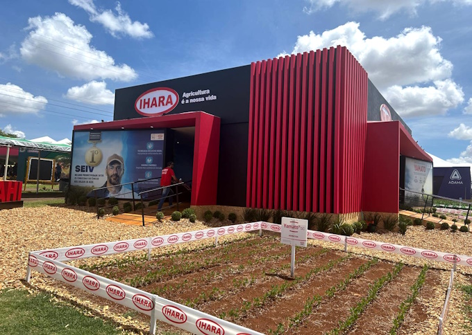 Os planos da Ihara para voltar à trilha do US$ 1 bilhão