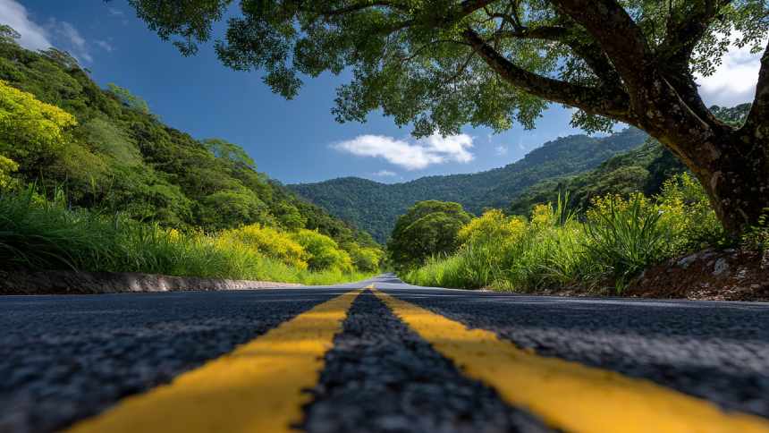 ARTIGO - Dos bandeirantes à supersafra: a vocação produtiva que moldou o Brasil