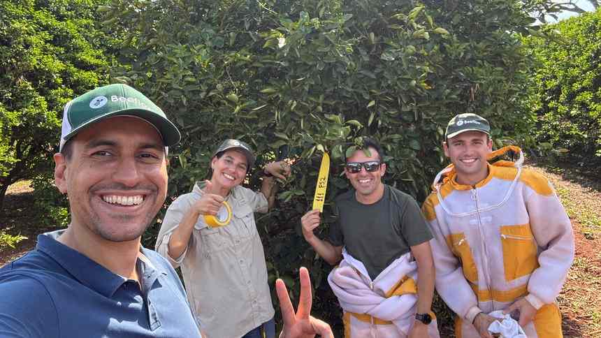 Beeflow aposta em "polinização 3.0" para crescer em laranja, café e HF no Brasil