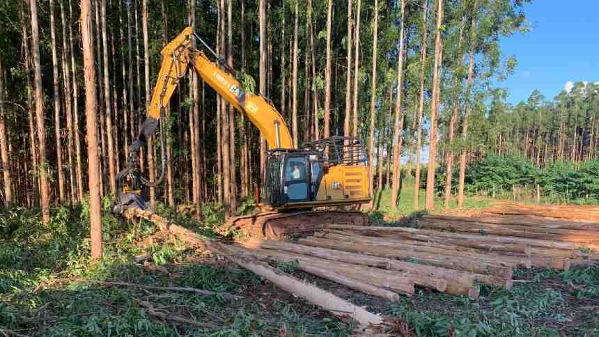 MS Florestal, da Bracell, acelera contratações no Vale da Celulose à espera da fábrica de R$ 16 bi