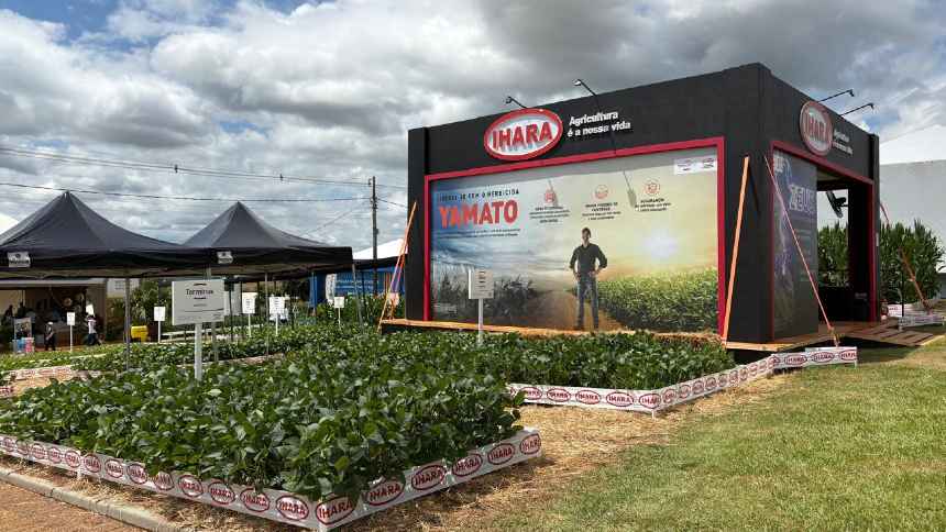 Com “sotaque gaúcho”, Ihara prevê crescer 10% na região Sul em 2026