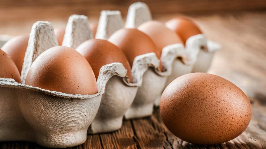 Sem IPO, mas com capital: o que o aporte de US$ 1 bi da Warburg Pincus significa para a Global Eggs