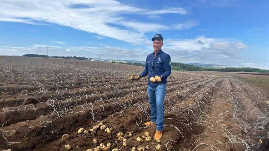 Primeiro as batatas, depois aveia, milho... O que Pepsico e Yara planejam na agricultira de baixo carbono