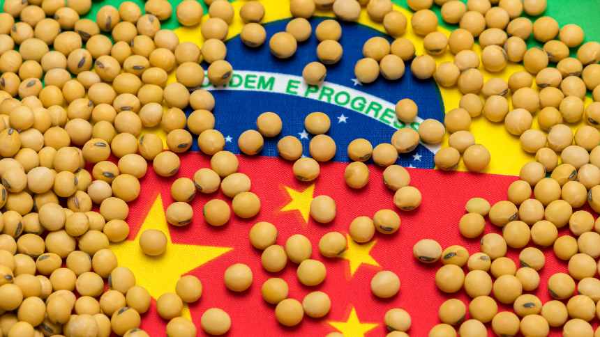 ARTIGO - O impasse da soja brasileira com a China acabou. A lição, não