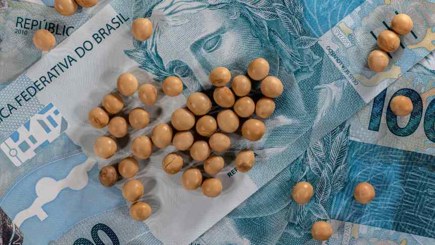 A pergunta de R$ 342 bilhões: o negócio soja vale a pena?