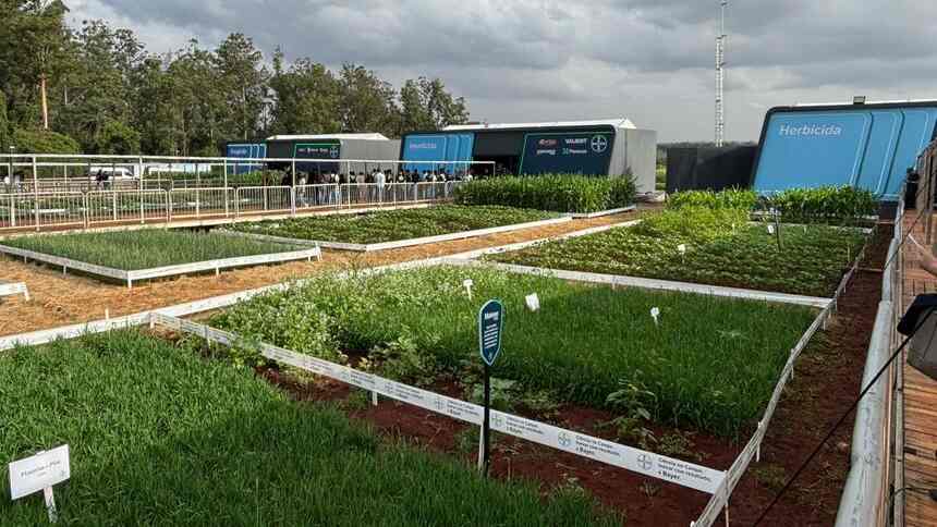 Com pressão nas lavouras e no balanço, Bayer prevê cinco lançamentos por ano até 2030