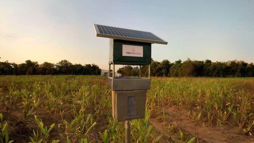 Um jovem de 25 anos, ondas eletromagnéticas e uma nova abordagem para monitorar o bicudo do algodão