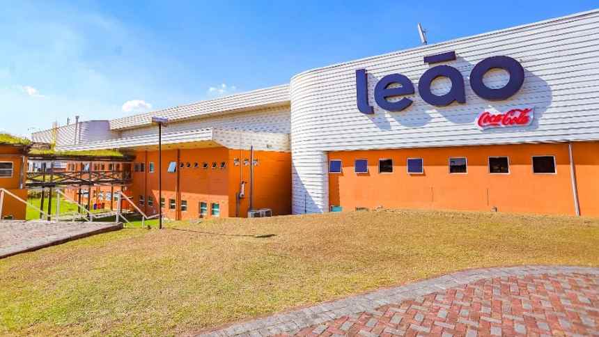 A erva-mate pode ser o novo açaí? A Matte Leão acredita que sim – e conta com o B2B