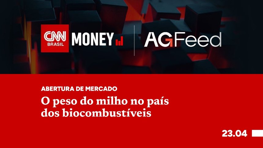 O peso do milho no país dos biocombustíveis