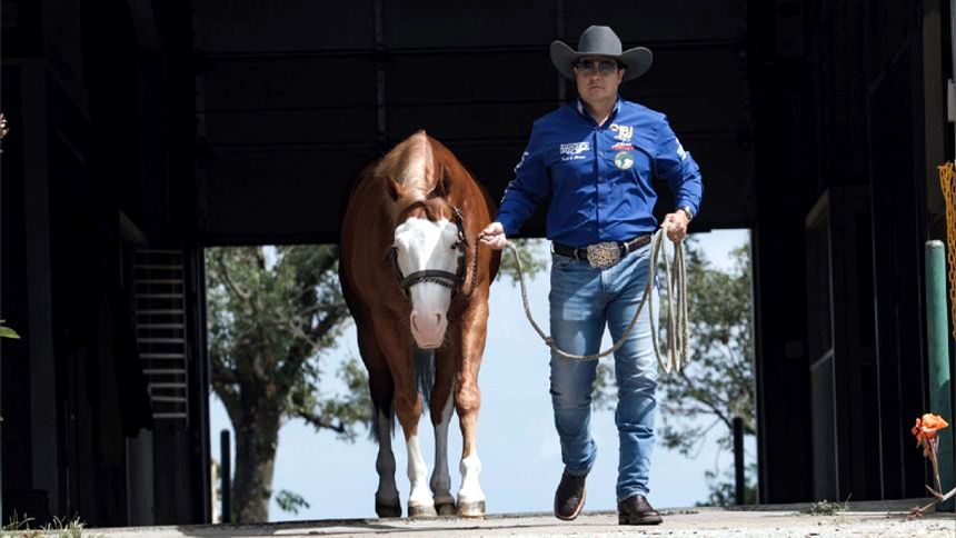DNA a cavalo: como Fabrício Batista está criando no Brasil uma marca global do Quarto de Milha