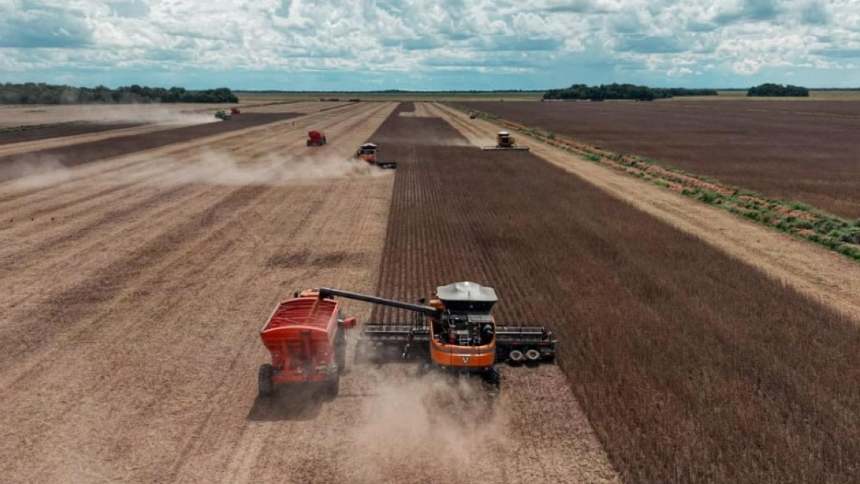 NaturAll Carbon firma parceria para geração de crédito de carbono com a "gigante" Nova Piratininga
