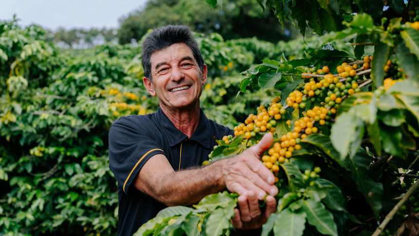 Mais raízes, mais café: projeto de Syngenta e JDE Peet's mostra salto de produtividade com manejo regenerativo