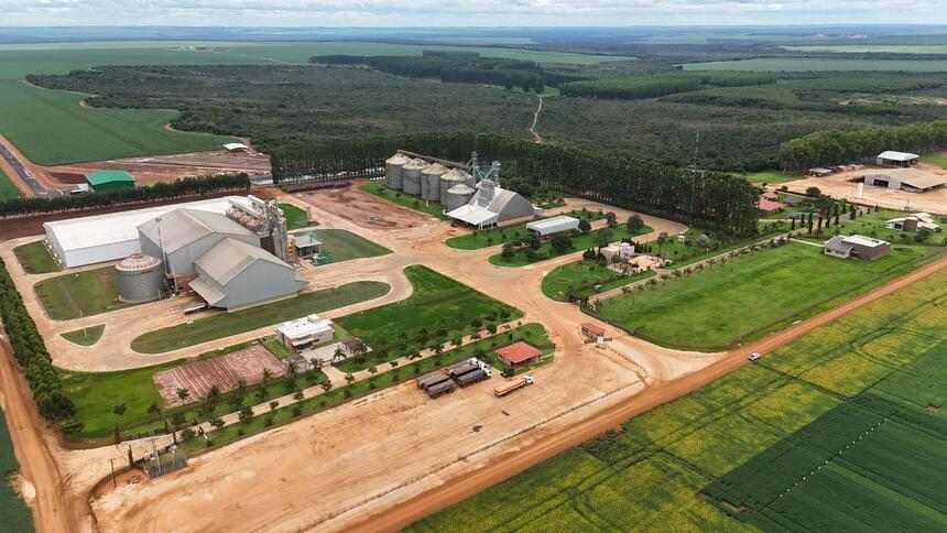 MyCarbon estreia projeto de carbono Revitalis com 4,3 mil hectares da Morena Agro