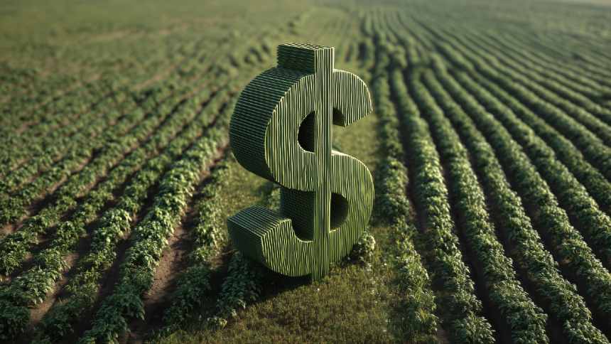 Financiamento rural: dos recursos controlados ao crédito privado, com escala na RJ do produtor