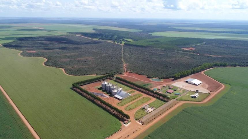 MyCarbon estreia projeto de carbono Revitalis com 4,3 mil hectares da Morena Agro