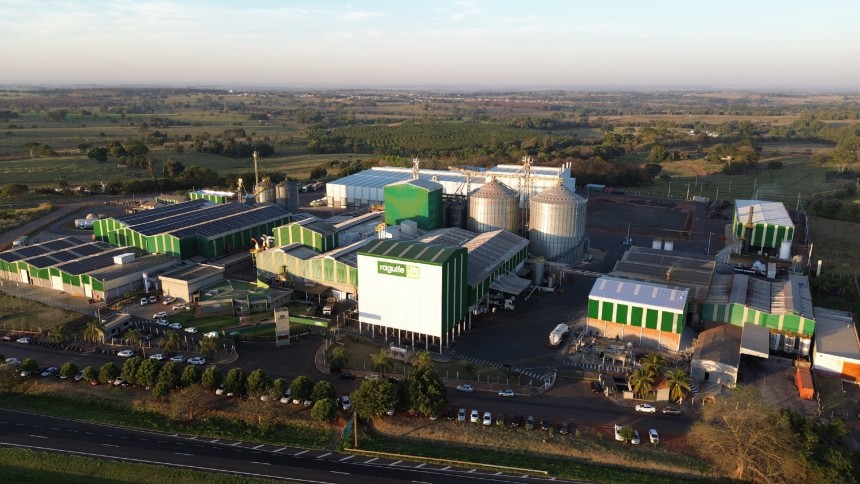 Raguife, da Brazilian Fish, vai construir nova fábrica na região Nordeste